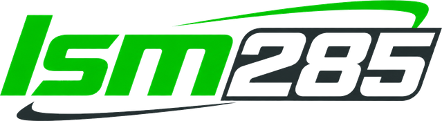 lsm285